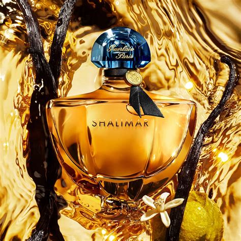 eau de parfum shalimar gucci|gucci fragrance.